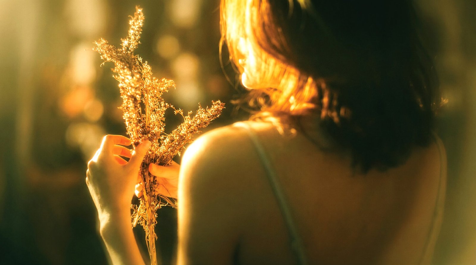 Warm golden light over a tranquil natural setting